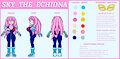 Sky the Echidna Reference Sheet by MelSky