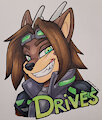 traditional badge - drives