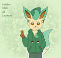 Herbie the Leafeon by SkulliMonster