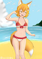 Senko! Beach Episode! by LemLim22
