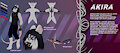 Akira ref sheet