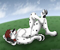 Comm for Byakko - Laying Dalmatian by Rahir