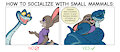 How to Socialize With Small Mammals by Daaberlicious