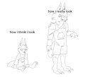 how i think i look vs how i really look