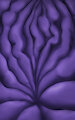 Purple stomach by Devourer