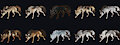 [OPEN] WOLF // DESIGNS