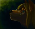 Staring Upward by FelineElement