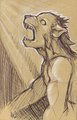 Wolf Transformation by FelineElement
