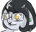 toast pony by spacetacular