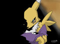 Renamon by randae