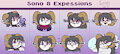 Sono Expressions by OrlenaTheCoyote