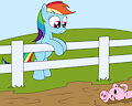 Dashie pig pen fun 1 by mucky