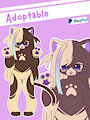 Chocolat Vanilla Kitty Adoption