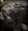 Furry Noir by Rarakie