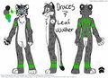 Draces Ref Sheet by draces