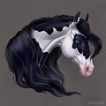 A portrait of a piebald horse by MsBeesa