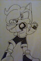 Sonicsona Doodle