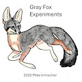 Gray Fox Experiments chapter ? Transition by Cheetahmikey