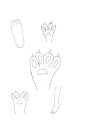 Paws practice