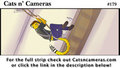 Cats n Cameras Strip #179 - Mission Derppossible
