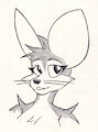 Fennec Headshot by Simonov