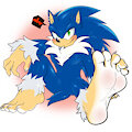 Sonic the Half-Werehog by MidnightMuser