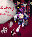Zaney The Hedgedog (Sona) by PawedPrints