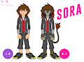 Sora in BNA: Brand New Animal by PokeSora13