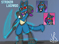 Commission: The Striker Lucario by VanillaRoad