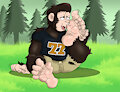 [CMSN] Chimp Scent