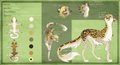 Mia feral reference sheet by hotwert