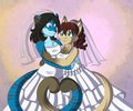 Wedding of Sardan and Melody 