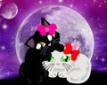 Kittens for Life by Synnie