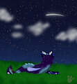 Watching The Stars by BabyKittyVampire