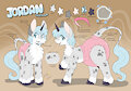 Pony Jordan Reference Sheet