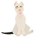 C : Spacepitbull