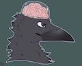 Brainy Crow OC