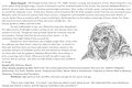 OFRPG Book Excerpt - Harpeth