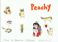 Peachy the Chipmunk by KatarinaTheCat18
