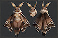 Manna the Moth by scorpianpp