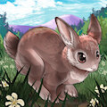 Rabbit by Uluri