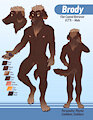 Bordy - Ref Sheet (SFW) by Gebji