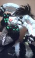 Katya crux suit wip 4 by KiraKiraKokoro