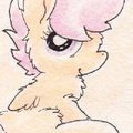 Fuzzy on the Bed
