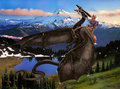 Wyrm Rider