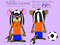 Tsovoa Reference Sheet