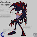 Elesham the Hedgehog by MidnightMuser