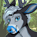 Kaisei Icon 2016 by Kaisenymes