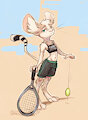 Tennis by Animancer