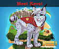 Meet Kava by SideB